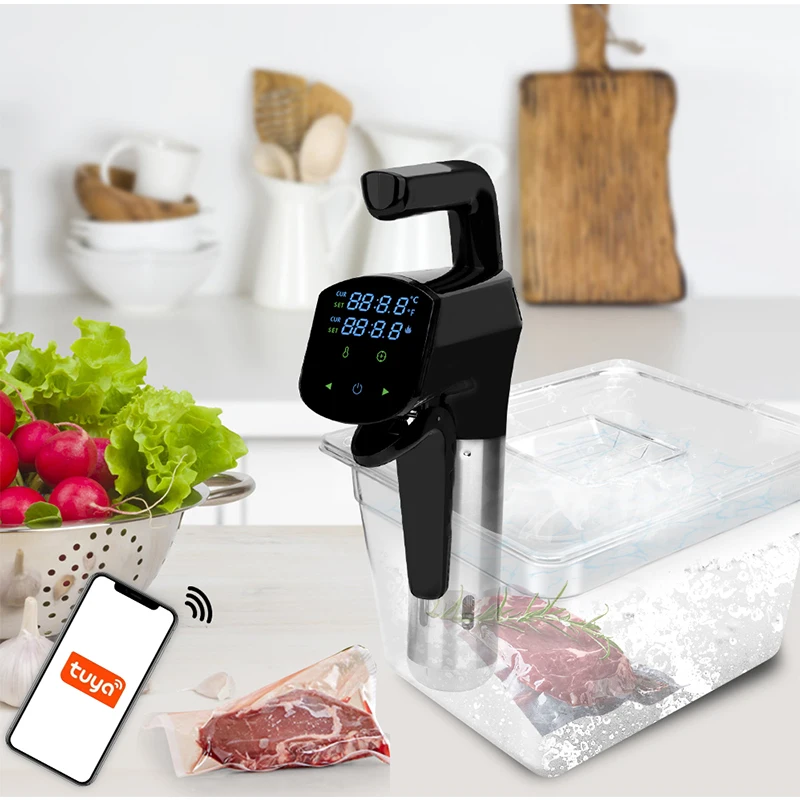 110 V/220 V kommerzielle Sous- – Home Cooking Machine Bewertung und Preis